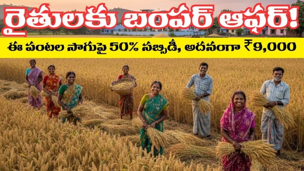 AP Govt Annonces 50 Percent Sunsidy For Millets Cultivation Farmers