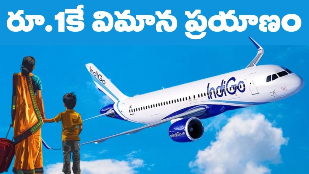 Indigo infants Flight Ticket rs1 Only